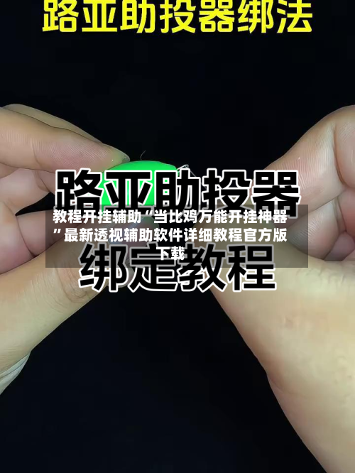 教程开挂辅助“当比鸡万能开挂神器”最新透视辅助软件详细教程官方版下载-第1张图片