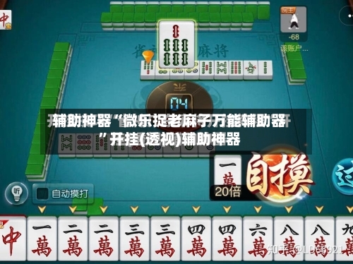 辅助神器“微乐捉老麻子万能辅助器”开挂(透视)辅助神器-第1张图片