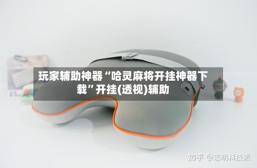 玩家辅助神器“哈灵麻将开挂神器下载”开挂(透视)辅助-第2张图片