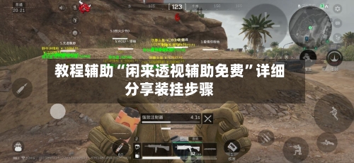 教程辅助“闲来透视辅助免费”详细分享装挂步骤-第3张图片