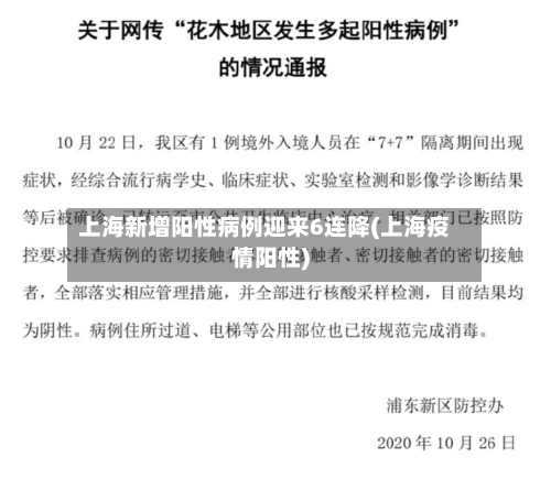 上海新增阳性病例迎来6连降(上海疫情阳性)-第2张图片