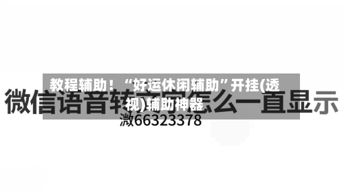 教程辅助！“好运休闲辅助”开挂(透视)辅助神器-第3张图片