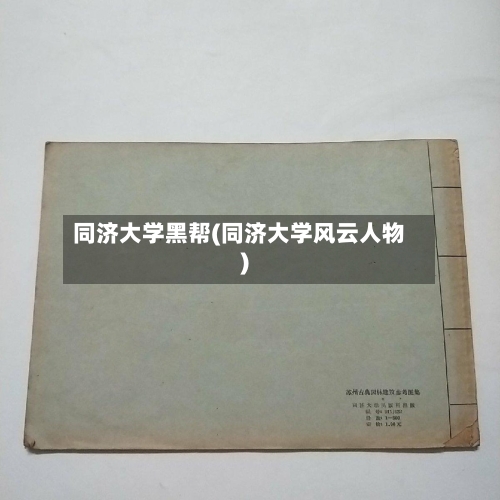 同济大学黑帮(同济大学风云人物)-第2张图片