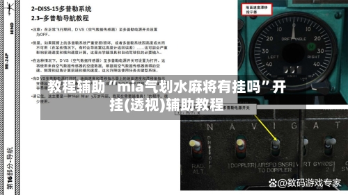 教程辅助“mia气划水麻将有挂吗	”开挂(透视)辅助教程-第1张图片