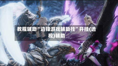 教程辅助“边锋游戏辅助挂”开挂(透视)辅助-第1张图片