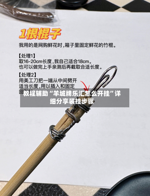 教程辅助“羊城牌乐汇怎么开挂	”详细分享装挂步骤-第1张图片