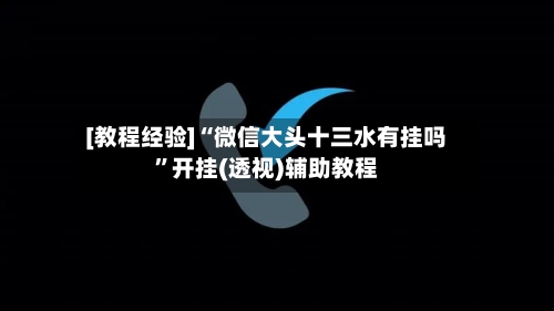 [教程经验]“微信大头十三水有挂吗”开挂(透视)辅助教程-第1张图片