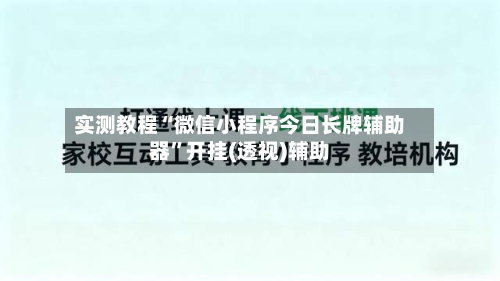 实测教程“微信小程序今日长牌辅助器”开挂(透视)辅助-第2张图片