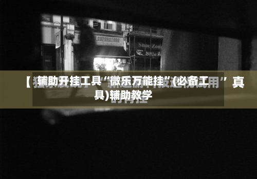 辅助开挂工具“微乐万能挂”(必备工具)辅助教学-第3张图片