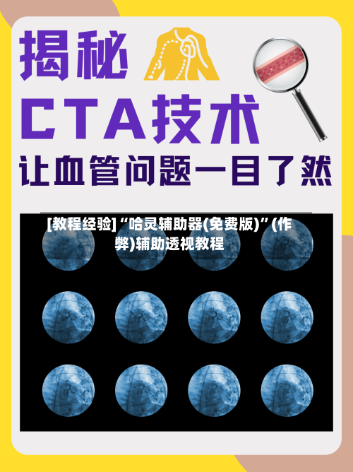 [教程经验]“哈灵辅助器(免费版)”(作弊)辅助透视教程-第1张图片