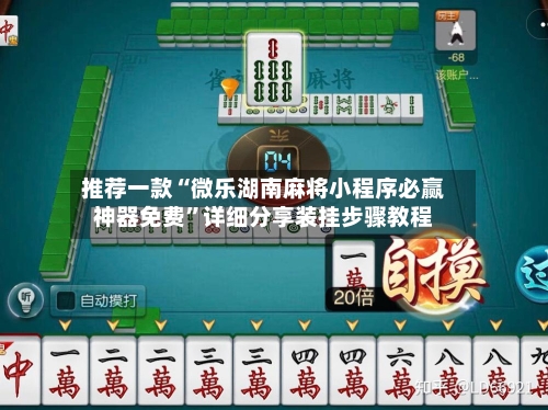 推荐一款“微乐湖南麻将小程序必赢神器免费”详细分享装挂步骤教程-第1张图片