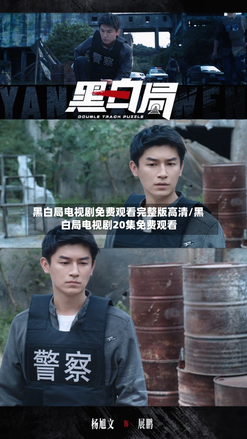 黑白局电视剧免费观看完整版高清/黑白局电视剧20集免费观看-第3张图片