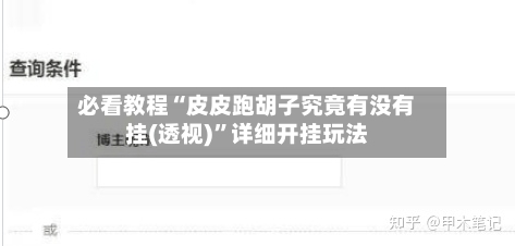 必看教程“皮皮跑胡子究竟有没有挂(透视)	”详细开挂玩法-第1张图片