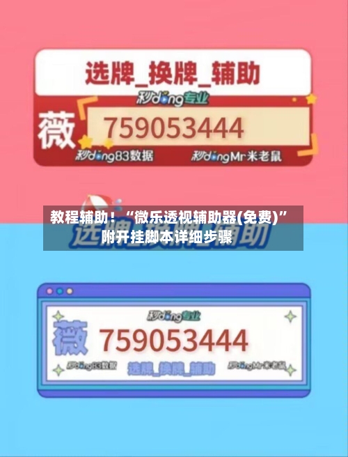 教程辅助！“微乐透视辅助器(免费)”附开挂脚本详细步骤-第1张图片