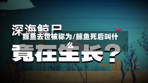 鲸鱼去世被称为/鲸鱼死后叫什么-第2张图片