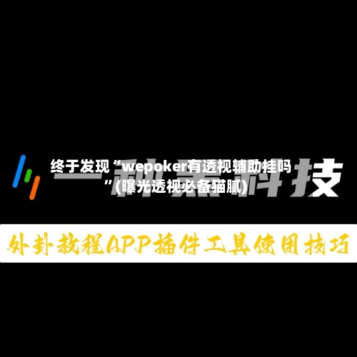 终于发现“wepoker有透视辅助挂吗”(曝光透视必备猫腻)-第3张图片