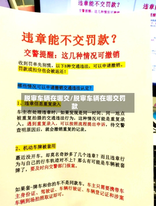 脱审车辆在哪交/脱审车辆在哪交罚款-第3张图片