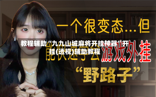 教程辅助“九九山城麻将开挂神器	”开挂(透视)辅助教程-第1张图片