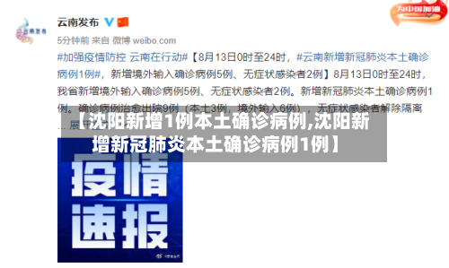 【沈阳新增1例本土确诊病例,沈阳新增新冠肺炎本土确诊病例1例】-第1张图片