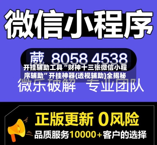 开挂辅助工具“财神十三张微信小程序辅助	”开挂神器{透视辅助}全揭秘-第2张图片