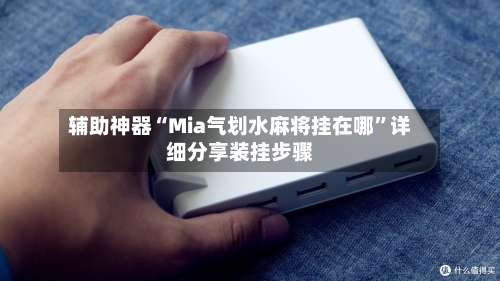 辅助神器“Mia气划水麻将挂在哪	”详细分享装挂步骤-第1张图片