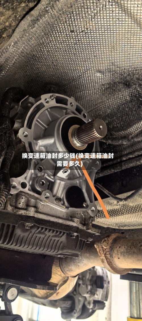 换变速箱油封多少钱(换变速箱油封需要多久)-第1张图片