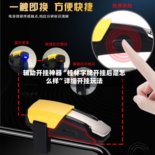 辅助开挂神器“桂林字牌开挂后是怎么样”详细开挂玩法-第3张图片