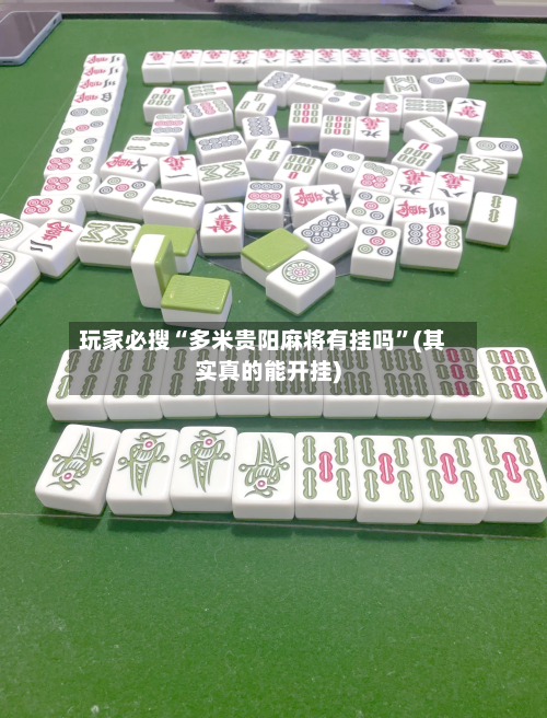 玩家必搜“多米贵阳麻将有挂吗”(其实真的能开挂)-第2张图片