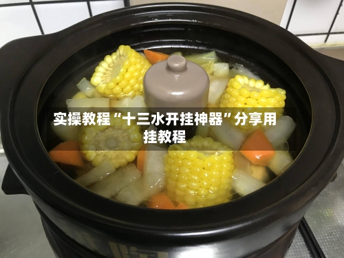 实操教程“十三水开挂神器”分享用挂教程-第2张图片