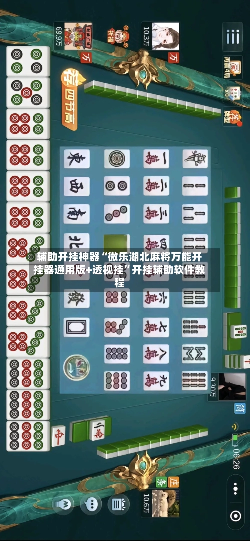 辅助开挂神器“微乐湖北麻将万能开挂器通用版+透视挂	”开挂辅助软件教程-第2张图片