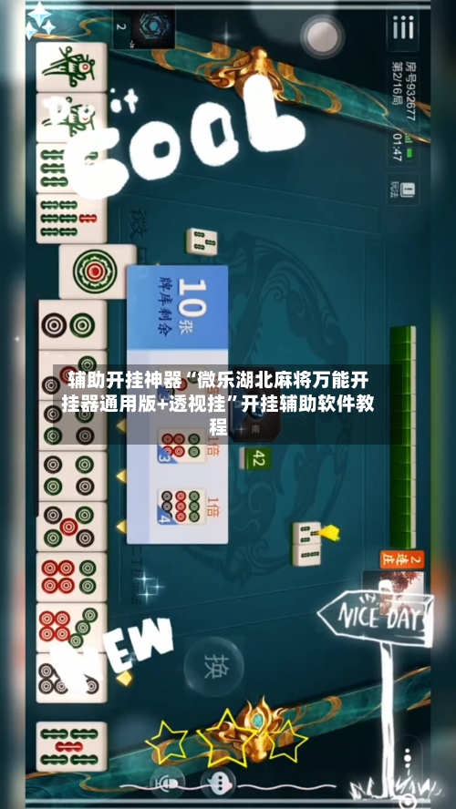 辅助开挂神器“微乐湖北麻将万能开挂器通用版+透视挂”开挂辅助软件教程-第3张图片