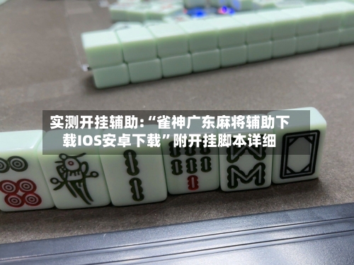 实测开挂辅助:“雀神广东麻将辅助下载IOS安卓下载”附开挂脚本详细-第1张图片