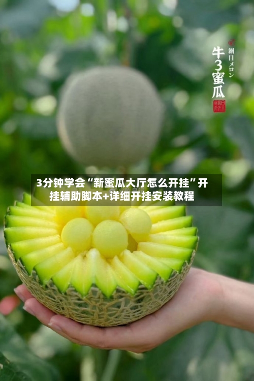 3分钟学会“新蜜瓜大厅怎么开挂	”开挂辅助脚本+详细开挂安装教程-第2张图片