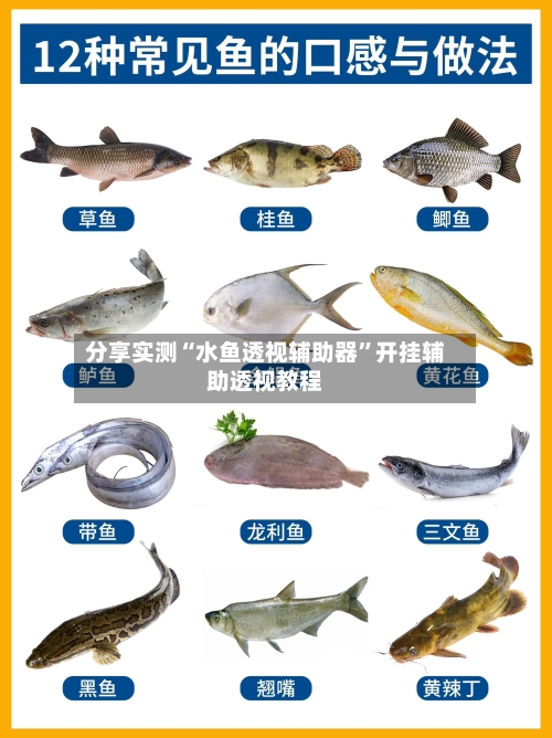 分享实测“水鱼透视辅助器	”开挂辅助透视教程-第2张图片