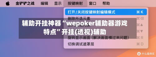 辅助开挂神器“wepoker辅助器游戏特点”开挂(透视)辅助-第2张图片