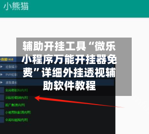 辅助开挂工具“微乐小程序万能开挂器免费”详细外挂透视辅助软件教程-第3张图片