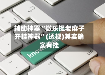 辅助神器“微乐捉老麻子开挂神器	”(透视)其实确实有挂-第2张图片