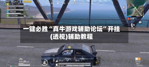 一键必胜“真牛游戏辅助论坛”开挂(透视)辅助教程-第2张图片