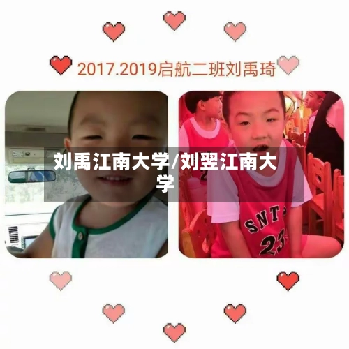 刘禹江南大学/刘翌江南大学-第1张图片