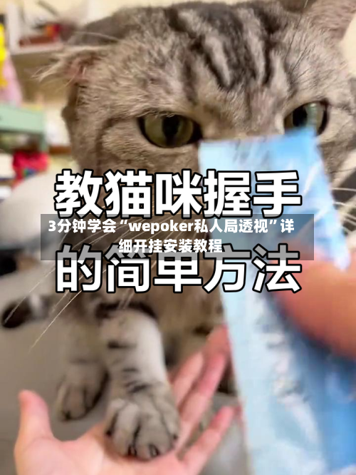 3分钟学会“wepoker私人局透视”详细开挂安装教程-第1张图片