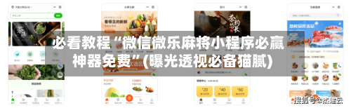 必看教程“微信微乐麻将小程序必赢神器免费”(曝光透视必备猫腻)-第1张图片