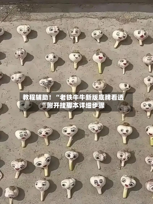 教程辅助！“老铁牛牛新版底牌看透”附开挂脚本详细步骤-第2张图片