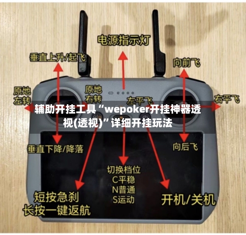 辅助开挂工具“wepoker开挂神器透视(透视)”详细开挂玩法-第2张图片