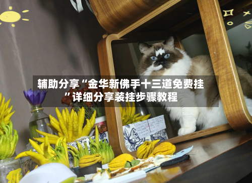 辅助分享“金华新佛手十三道免费挂”详细分享装挂步骤教程-第1张图片