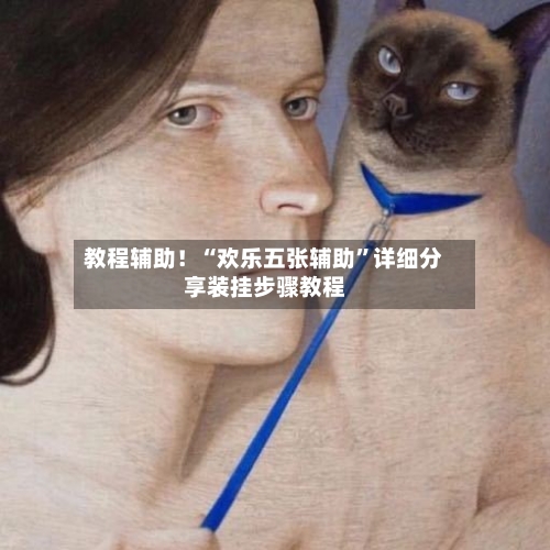 教程辅助！“欢乐五张辅助”详细分享装挂步骤教程-第2张图片