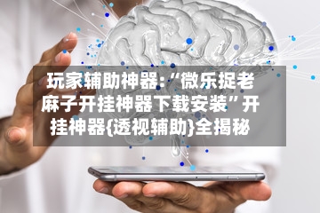 玩家辅助神器:“微乐捉老麻子开挂神器下载安装	”开挂神器{透视辅助}全揭秘-第1张图片