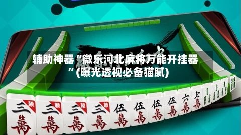 辅助神器“微乐河北麻将万能开挂器”(曝光透视必备猫腻)-第2张图片