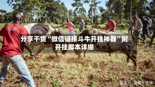 分享干货“微信链接斗牛开挂神器	”附开挂脚本详细-第2张图片