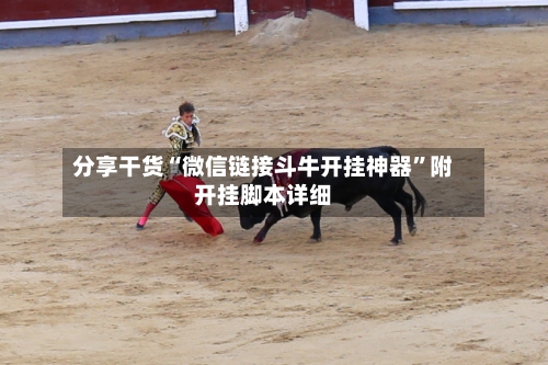 分享干货“微信链接斗牛开挂神器”附开挂脚本详细-第3张图片