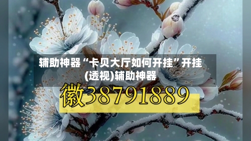 辅助神器“卡贝大厅如何开挂”开挂(透视)辅助神器-第3张图片